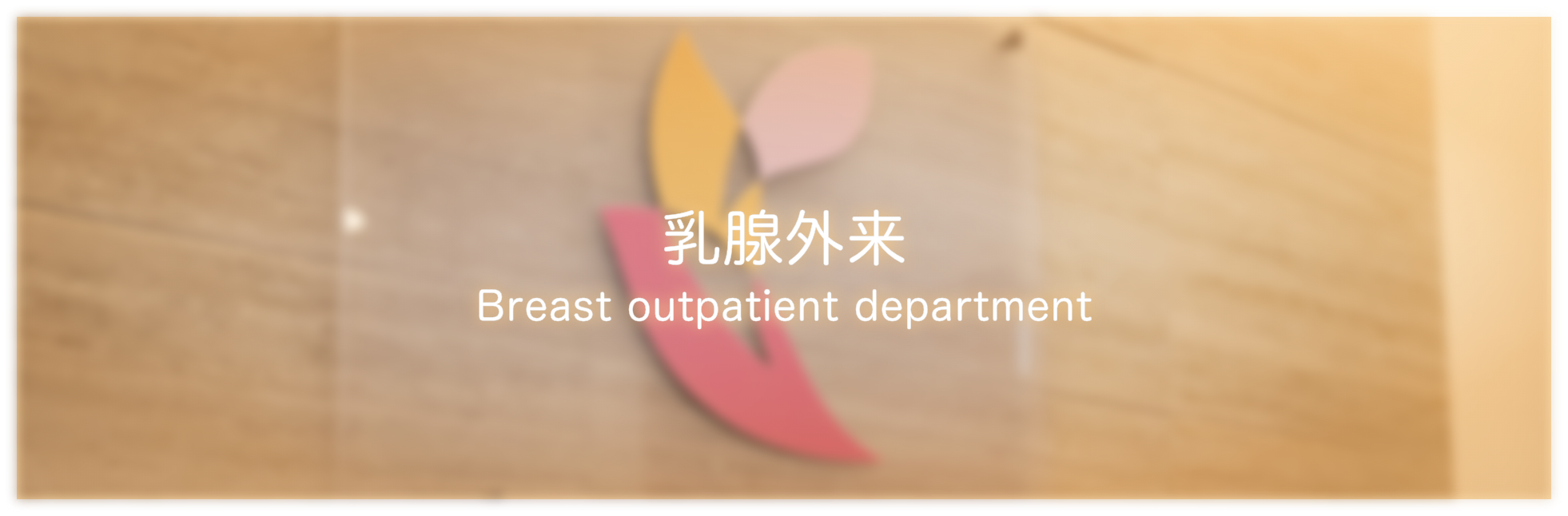 膨らみかけ乳首 川崎市高津区の乳腺外来|ブレストケア高津